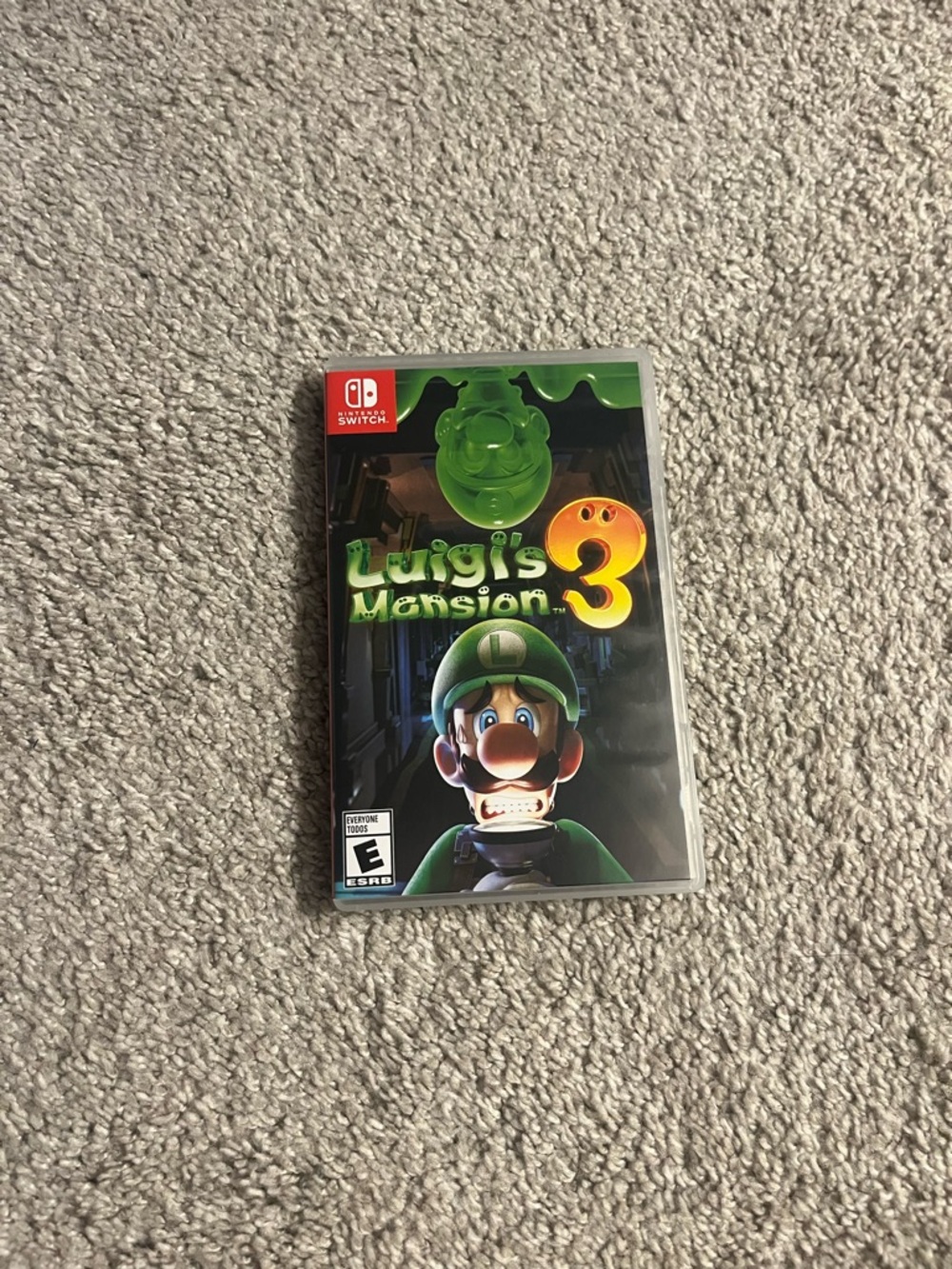 Nintendo Switch Luigi's Mansion 3 Game Case Only